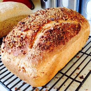 1779949_10105670823176714_8352421547742696984_n